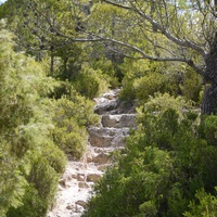 Photo de France - Le Cirque de Mourèze et le Lac du Salagou